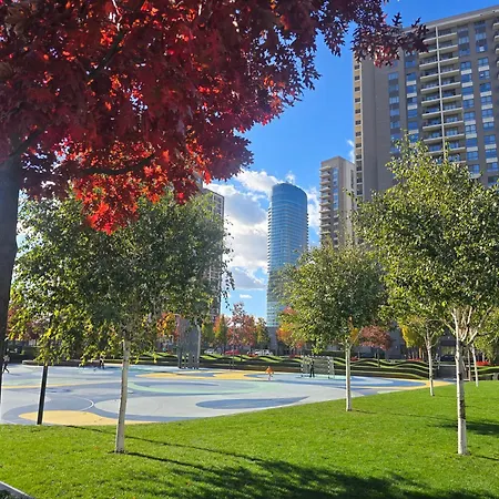 Daire Bw Quartet 302 Deluxe *